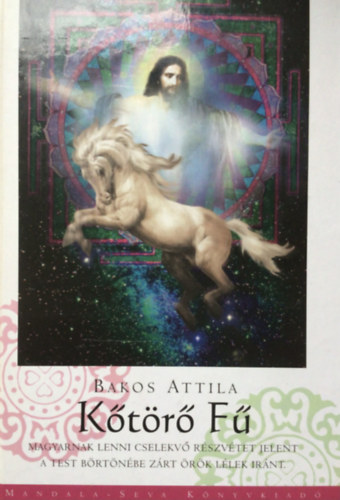 Bakos Attila: Kőtörő fű - Magyarnak lenni cselekvő részvétet jelent a test börtönébe zárt örök lélek iránt antikvár