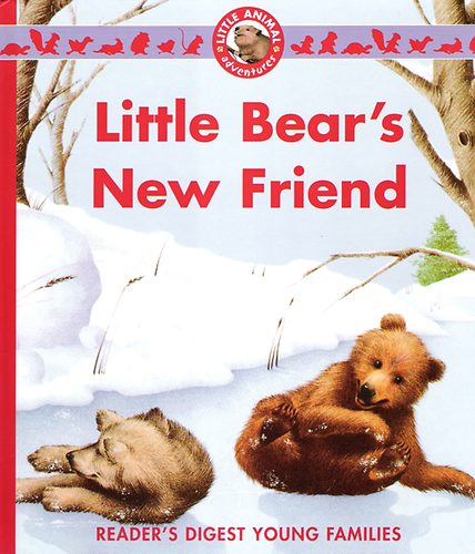 Muriel Pépin: Little Bear's New Friend idegen