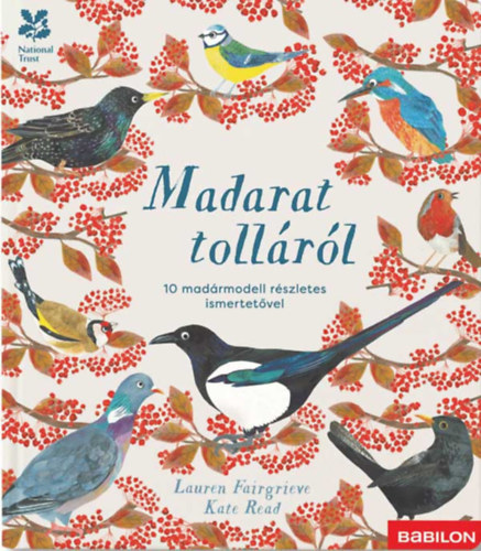 Lauren Fairgrieve: Madarat tolláról - 10 madármodell részletes ismertetővel könyv