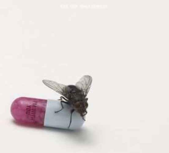 Red Hot Chili Peppers: I’m With You CD
