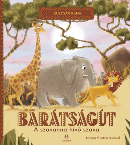 Kulcsár Rena: Barátságút könyv