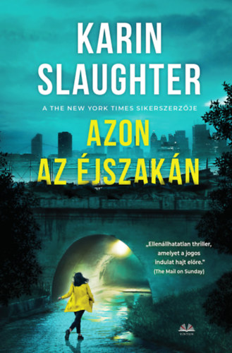 Karin Slaughter: Azon az éjszakán e-Könyv
