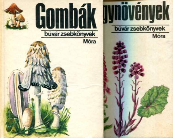 Több szerző: 2 db Búvár zsebkönyv (Gombák és gyógynövények) antikvár