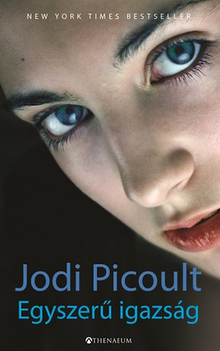 Jodi Picoult: Egyszerű igazság könyv