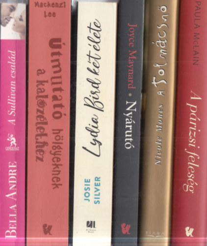 Bella Andre, Mackenzi Lee, Josie Silver, Joyce Maynard, Nicole Mones, Paula McLain: 6 db romantikus regény: A Sullivan család + Útmutató hölgyeknek a kalózéletben + Lydia Bird két élete + Nyárutó + A tolmácsnő + A párizsi feleség antikvár