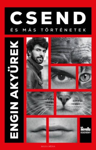 Engin Akyürek: Csend könyv