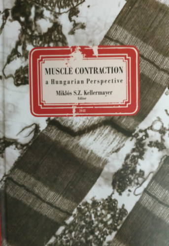 Muscle contraction A hungarian Perspective antikvár