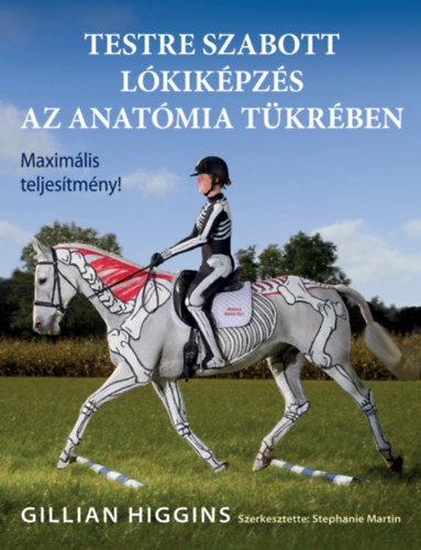 Gillian Higgins: Testre szabott lókiképzés az anatómia tükrében könyv