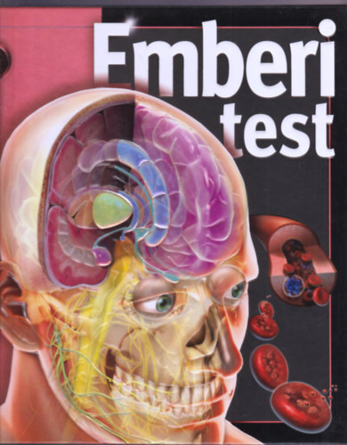 Linda Calabresi: Emberi test (Bennfentes) antikvár