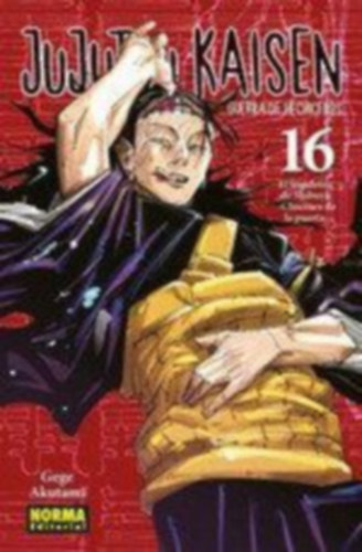 Jujutsu Kaisen 16 idegen