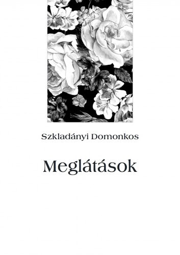 Szkladányi Domonkos: Meglátások e-Könyv