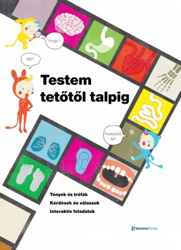 Testem tetőtől talpig könyv