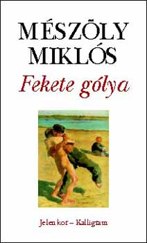 Mészöly Miklós: Fekete gólya könyv