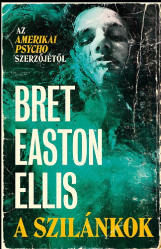 Bret Easton Ellis: A szilánkok e-Könyv