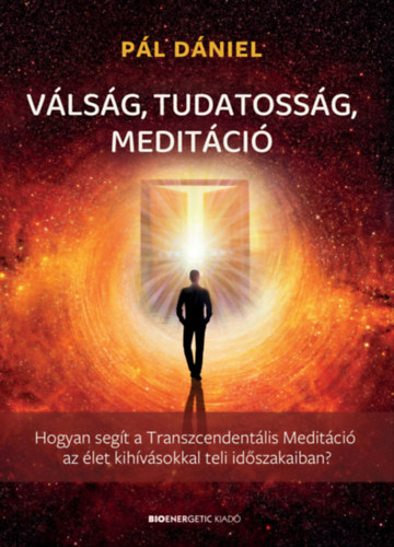 Pál Dániel: Válság, tudatosság, meditáció e-Könyv