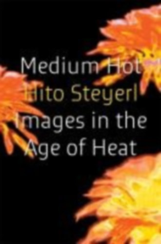 Steyerl, Hito: Medium Hot idegen
