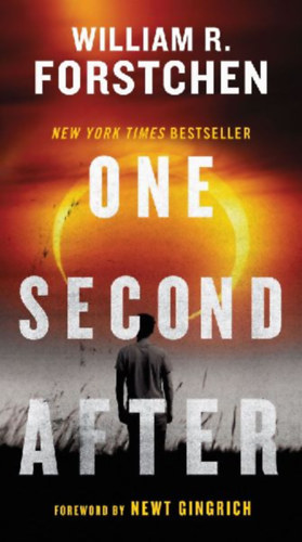 Forstchen, William R.: One Second After idegen