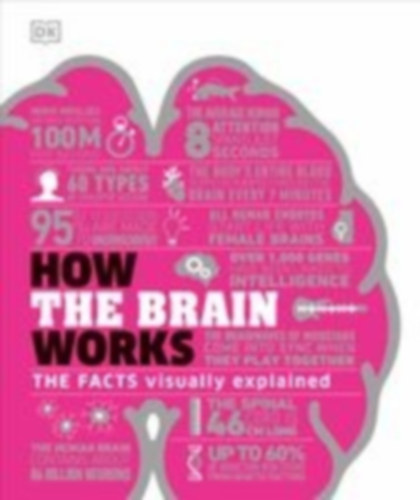 DK: How the Brain Works idegen
