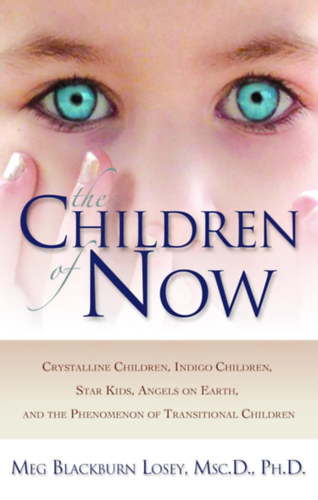 Meg Blackburn Losey: The Children of Now (New Page Books) antikvár