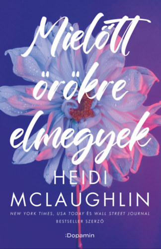 Heidi McLaughlin: Mielőtt örökre elmegyek e-Könyv