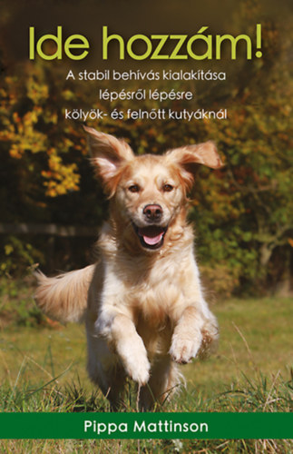 Mattinson, Pippa: Ide hozzám! könyv