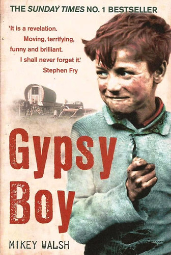 Mikey Walsh: Gypsy Boy antikvár