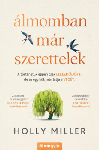 Holly Miller: Álmomban már szerettelek könyv