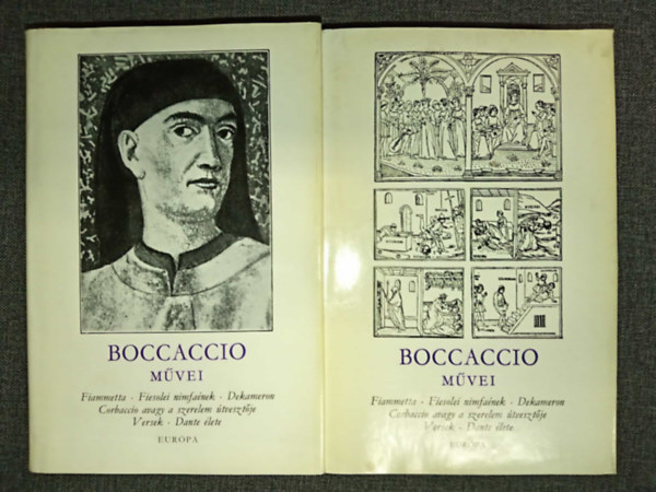 Boccaccio: Boccaccio művei I-II. (Fiammetta / Fiesolei Nimfaének / Dekameron / Corbaccio, avagy a szerelem útvesztője / Versek / Dante élete) antikvár