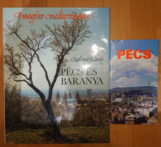 Szelényi Károly, Bezerédy Győző: Pécs, Pécs és Baranya antikvár