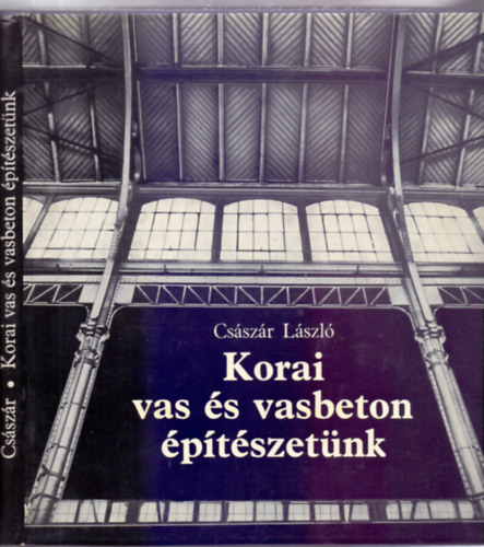 Császár László: Korai vas és vasbeton építészetünk (126 ábrával) antikvár