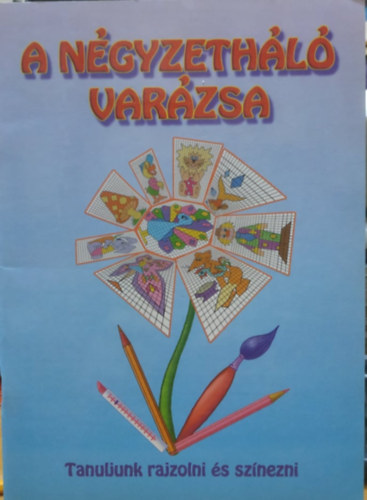 Nagy Emese; Vida Kata: A négyzetháló varázsa antikvár