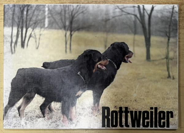 Rottweiler - A MEOE rottweiler fajtaszakosztály információs füzete antikvár