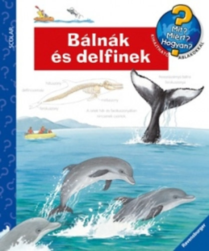 Doris Rübel: Bálnák és delfinek antikvár
