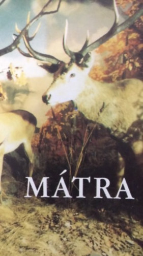 Szerző Kovácsné Földessy Mariann Szerkesztő Dr. Fűköh Levente Lektor Dr. Vásárhelyi Tamás Fotózta Adamik Miklós Robotkay Lajosné Roboz László Dr. Solti Béla: Mátra - (Istmertető a gyöngyösi Mátra Múzeum természettudományi kiállításához) antikvár