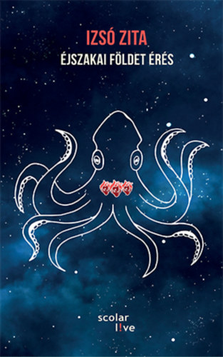 Izsó Zita: Éjszakai földet érés antikvár