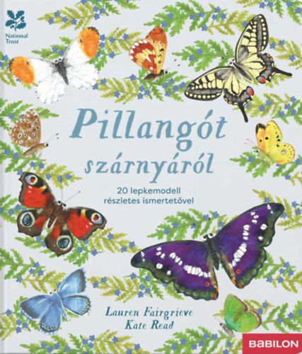 Lauren Fairgrieve: Pillangót szárnyáról könyv