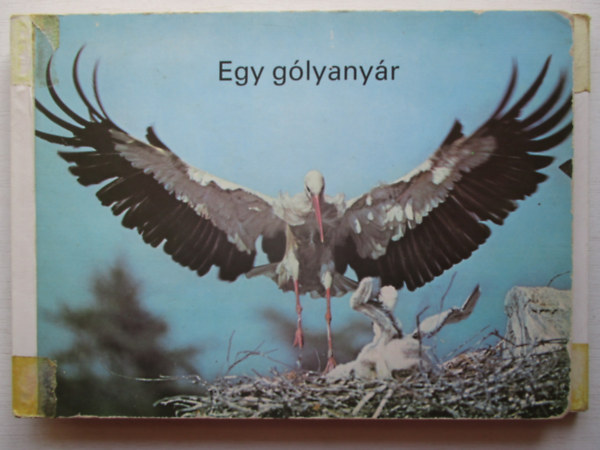 Harald Lange: Egy gólyanyár antikvár