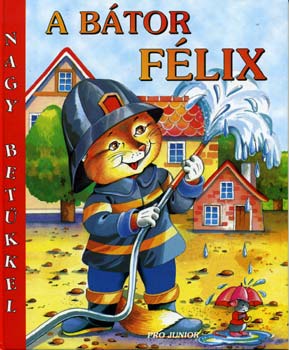 Juhász Magda: A bátor Félix antikvár