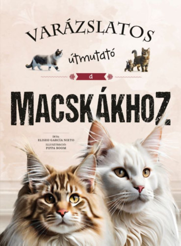 Varázslatos útmutató a macskákhoz akciós termékkép 1