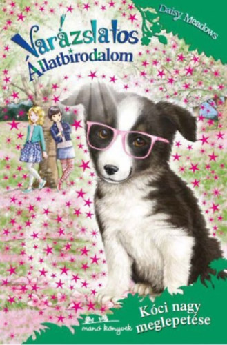 Daisy Meadows: Varázslatos állatbirodalom 10. - Kóci nagy meglepetése antikvár