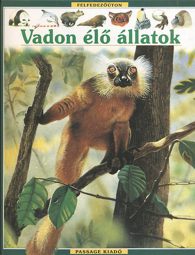 Vadon élő állatok (Felfedezőúton) antikvár