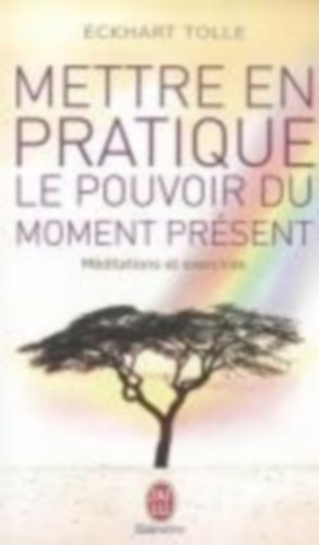 Tolle, Eckhart: Mettre en pratique le pouvoir du moment présent idegen