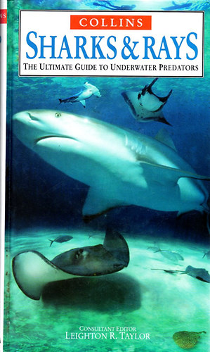 Leighton R. Taylor: Sharks and Rays antikvár