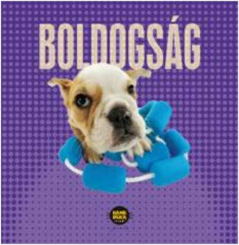 Denis Robert: Boldogság könyv