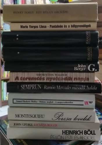 Jaroslav Hasek, John Updike, Montesquieu, Jorge Semprún, Thornton Wilder, John Berger, Sienkiewicz, Mario Vargas LLosa, Henry James: 10 db-os KÖNYVMENTŐ AJÁNLAT, világirodalom: És lőn este és reggel+ Így látja Roger+ Perzsa levelek+ Molloy - Malone meghal - A megnevezhetetlen+ Ramón Mercader második halála+ A teremtés nyolcadik napja+ G.+ Özönvíz I-II.+ Pantaleón és a hölgyvendégek+ antikvár