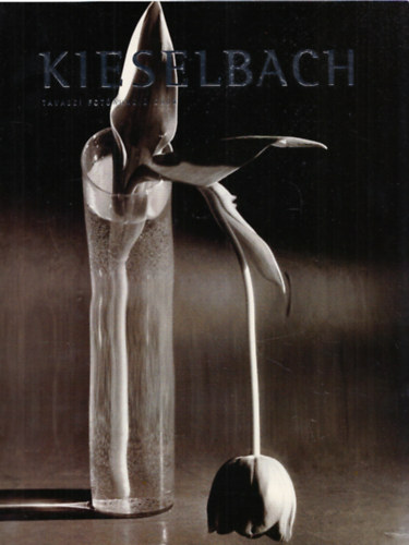 Kieselbach Tamás (szerk.): Kieselbach Tavaszi fotóaukció 2008 antikvár