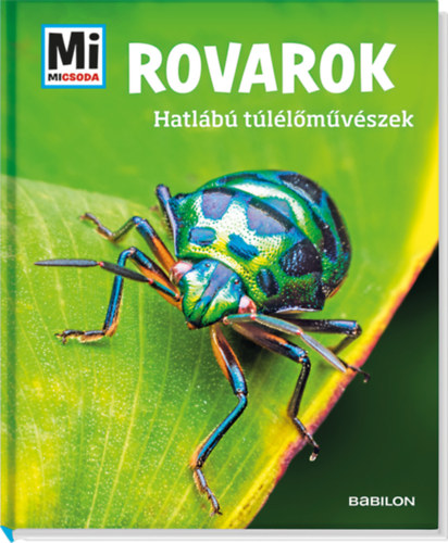 Rovarok - Hatlábú túlélőművészek könyv