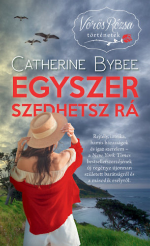 Catherine Bybee: Egyszer szedhetsz rá antikvár