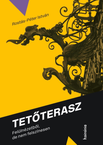 Rostás-Péter István: Tetőterasz könyv