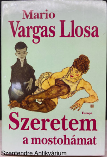 Mario Vargas Llosa, Ford.: Csuday Csaba: Szeretem a mostohámat (Saját képpel) antikvár